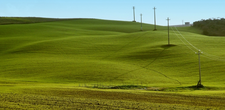 Dolci colli verdi di marco pardi photo