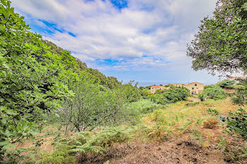 terrain à Bastia (2B)