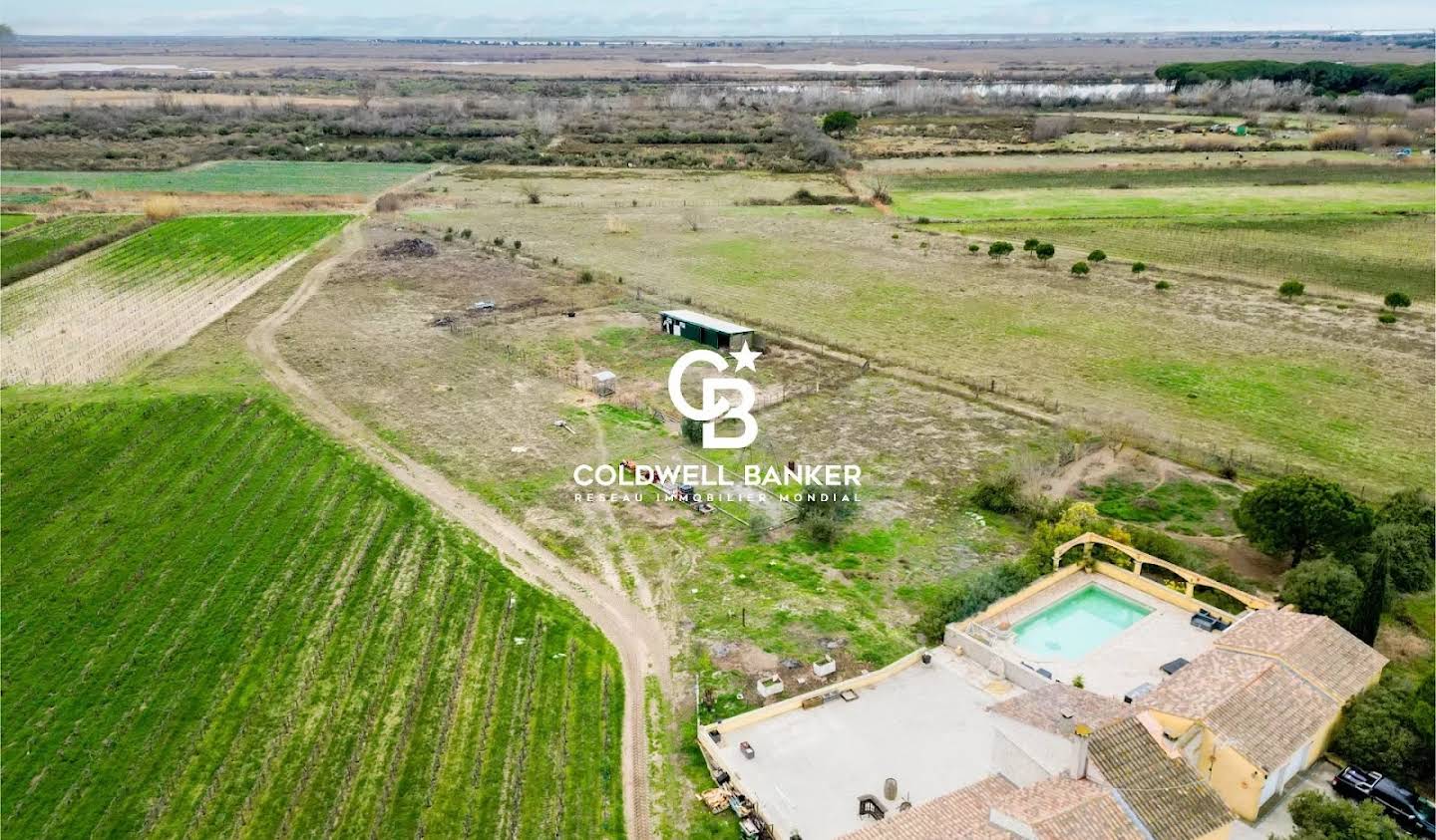 Vignoble avec piscine et dépendances Aigues-Mortes