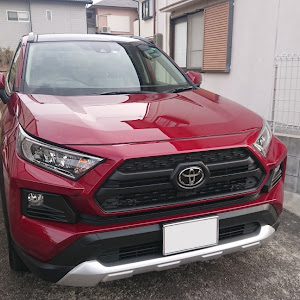 RAV4 MXAA54
