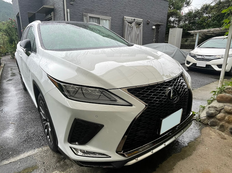 RXの雨降り・代車生活・パグ・バイクはお休み・初搭乗🐶に関するカスタム事例の投稿画像1枚目