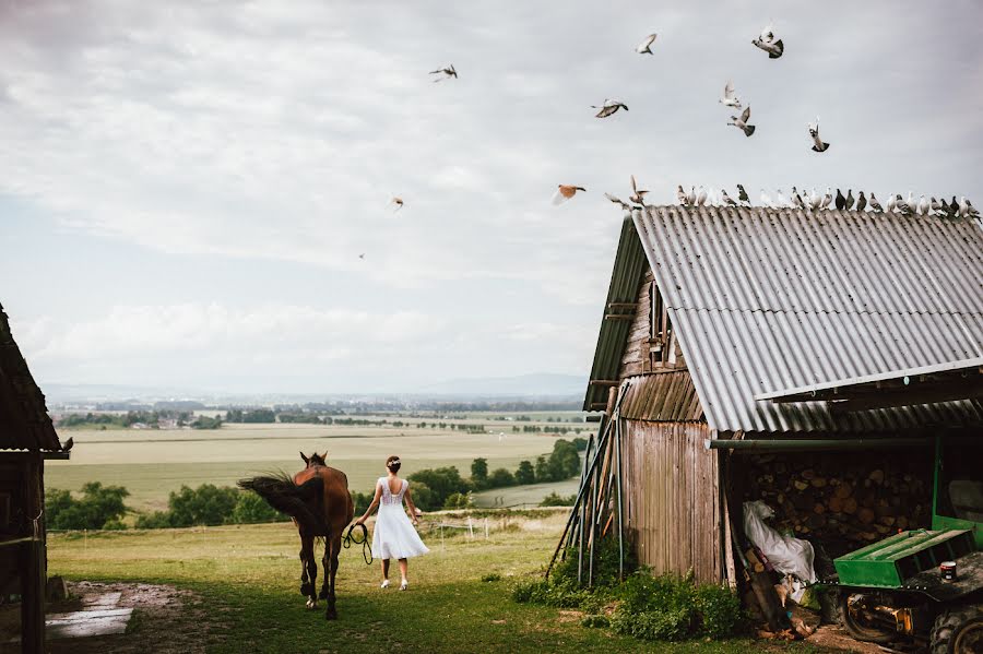 Pulmafotograaf Jiri Sipek (jirisipek). Foto tehtud 20 juuni 2017