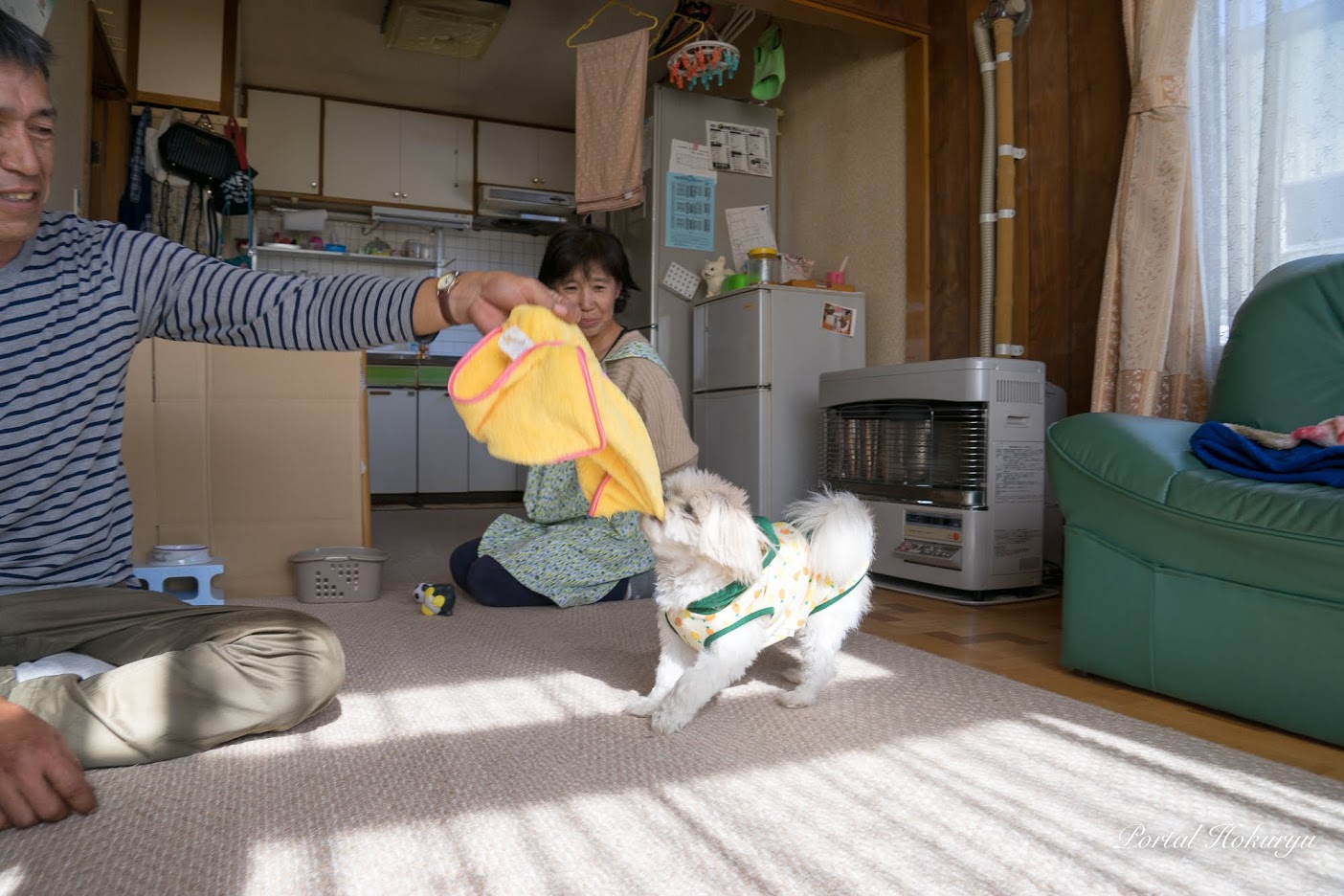 タオルも大好き・グイグイ引っ張ります