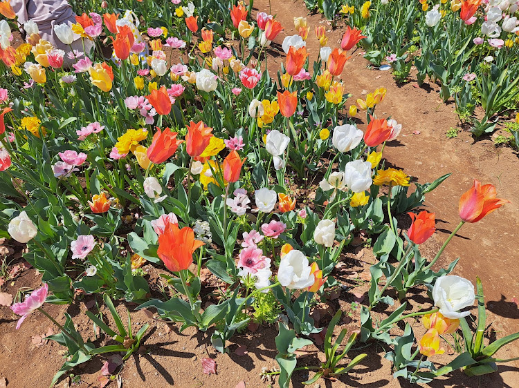 フィットの花菜ガーデン平塚に関するカスタム事例の投稿画像25枚目