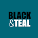 Black and Teal icon