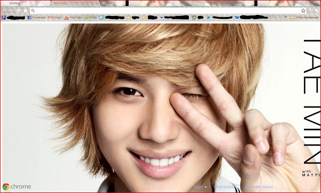 Taemin Version 2 chrome extension