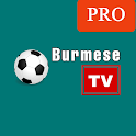 Icon Burmese TV Pro