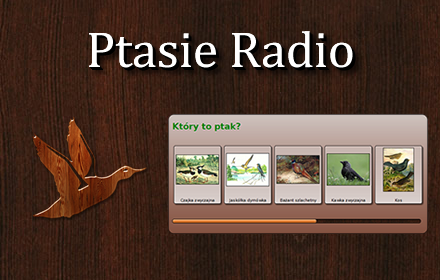 Ptasie Radio 2 chrome extension