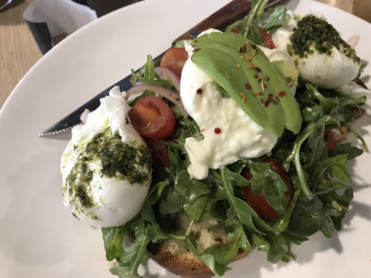 Fancy burrata on gluten free toast. Delicious!