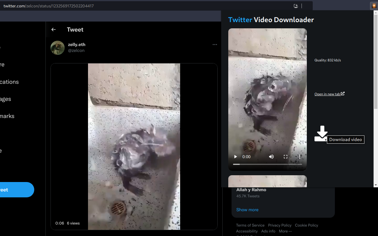 Twitter Video Downloader Preview image 0