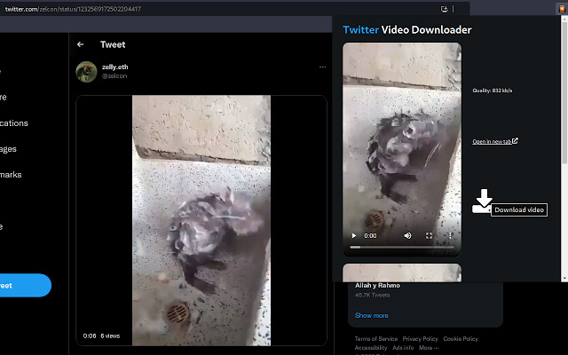 Twitter Video Downloader chrome extension