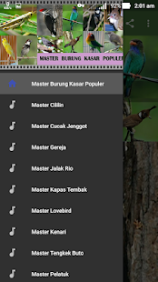 Master Burung Kasar Populer(圖2)-速報App