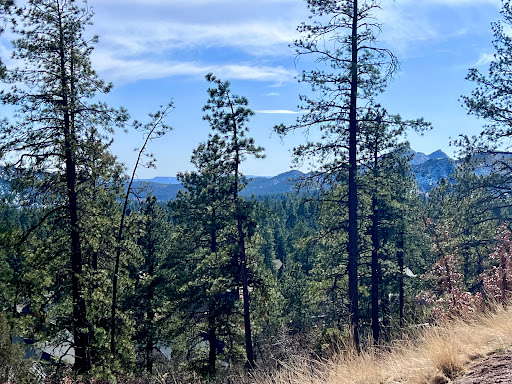 Property purchase in Durango (United States) - Pine forest landscape with mountains
