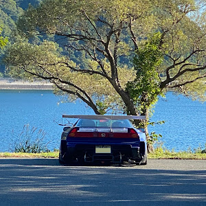 NSX NA2