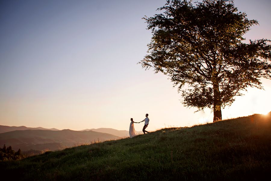 Photographe de mariage Vladimir Permyakov (permiakovphoto). Photo du 3 juin 2018