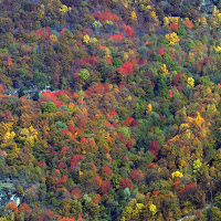 Colori autunnali in Valtellina di 