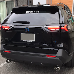 RAV4 AXAH54