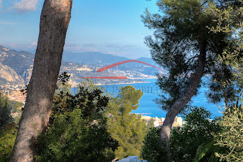 propriété à Roquebrune-Cap-Martin (06)