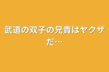 武道の双子の兄貴はヤクザだ…