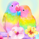 Download 3D Cute Colorful Lovebirds Parrot Gravity Theme For PC Windows and Mac 1.1.2