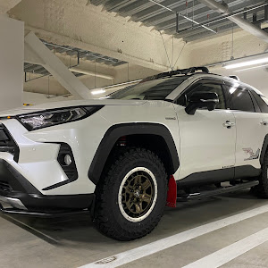 RAV4