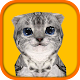 Cat Simulator HD Download on Windows