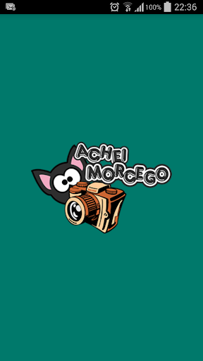 Achei Morcegos