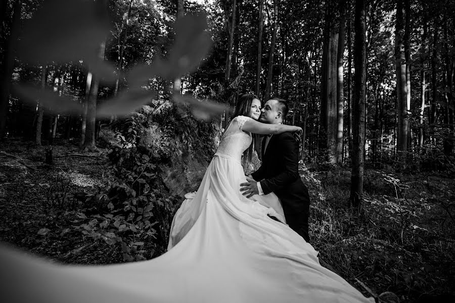 Photographe de mariage Magdalena Korzeń (korze). Photo du 12 novembre 2016