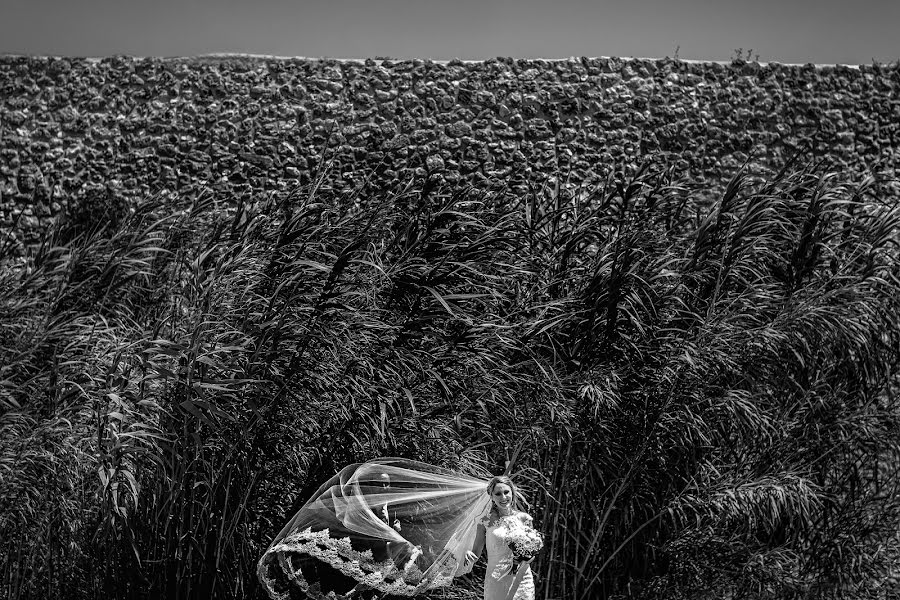 Fotógrafo de casamento Nico Pedaci (pedaci). Foto de 13 de agosto 2020