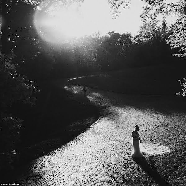 Fotografo di matrimoni Viktor Demin (victordyomin). Foto del 17 novembre 2012