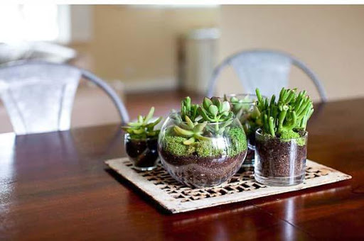 DIY Terrarium Design Idea