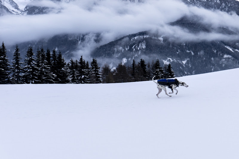 la felicità è correre sulla neve di rudi59