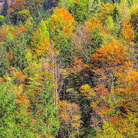 I colori della Slovenia di pierce