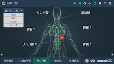 人体 (女)インタラクティブな教育用3Dのおすすめ画像4