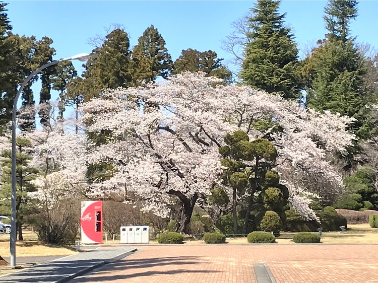 の投稿画像4枚目