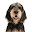 Otterhound Themes & New Tab