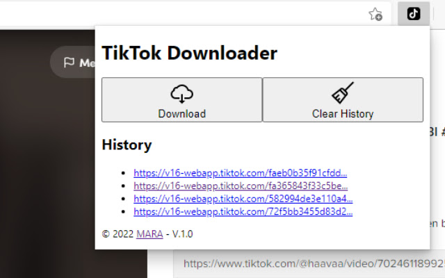 TikTok Downloader chrome extension