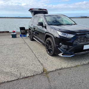 RAV4 AXAH54
