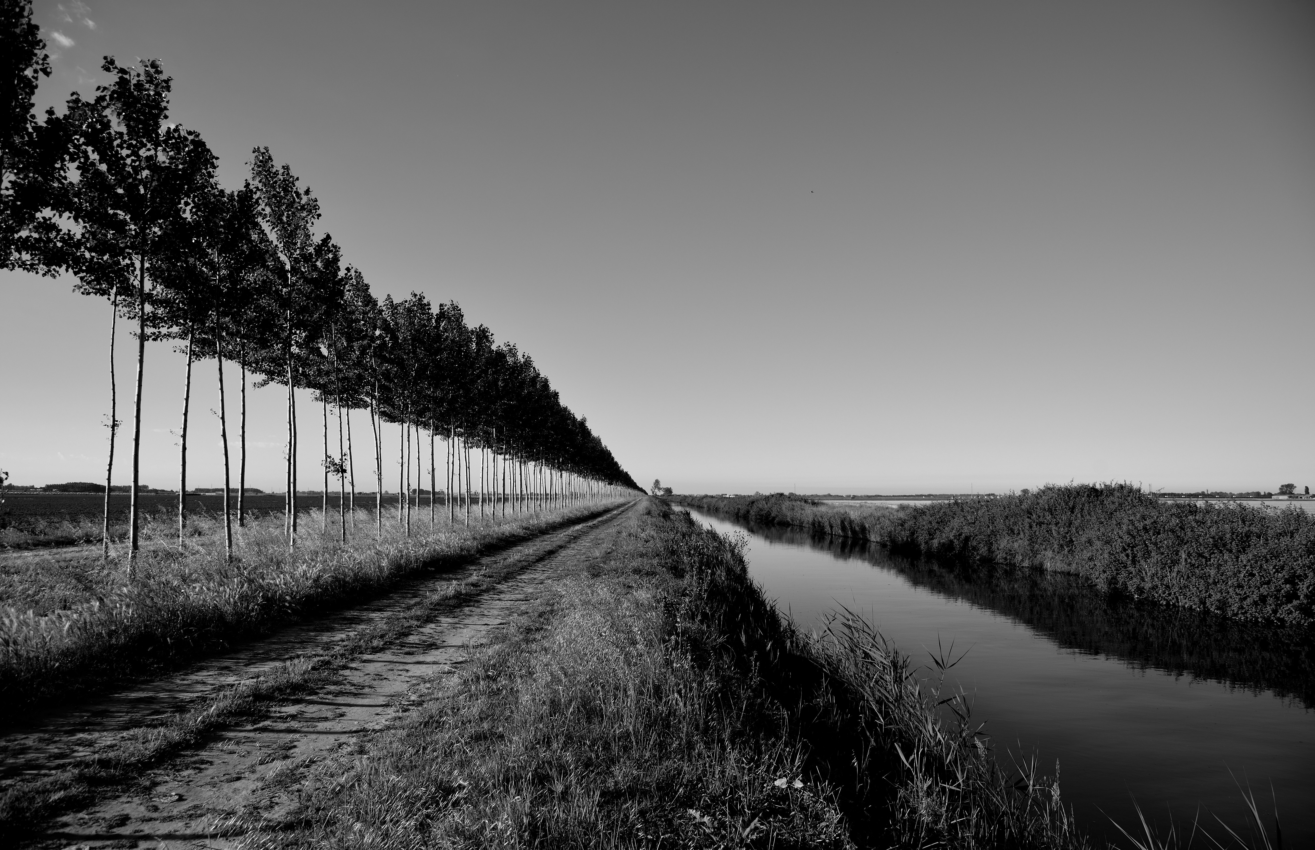 Tra i canali  di Claudio Tenca