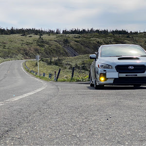 WRX STI VAB