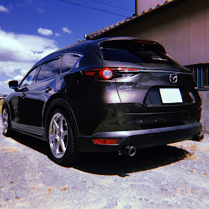 CX-8