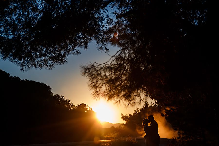 Fotógrafo de bodas Petrica Tanase (tanase). Foto del 27 de julio 2014