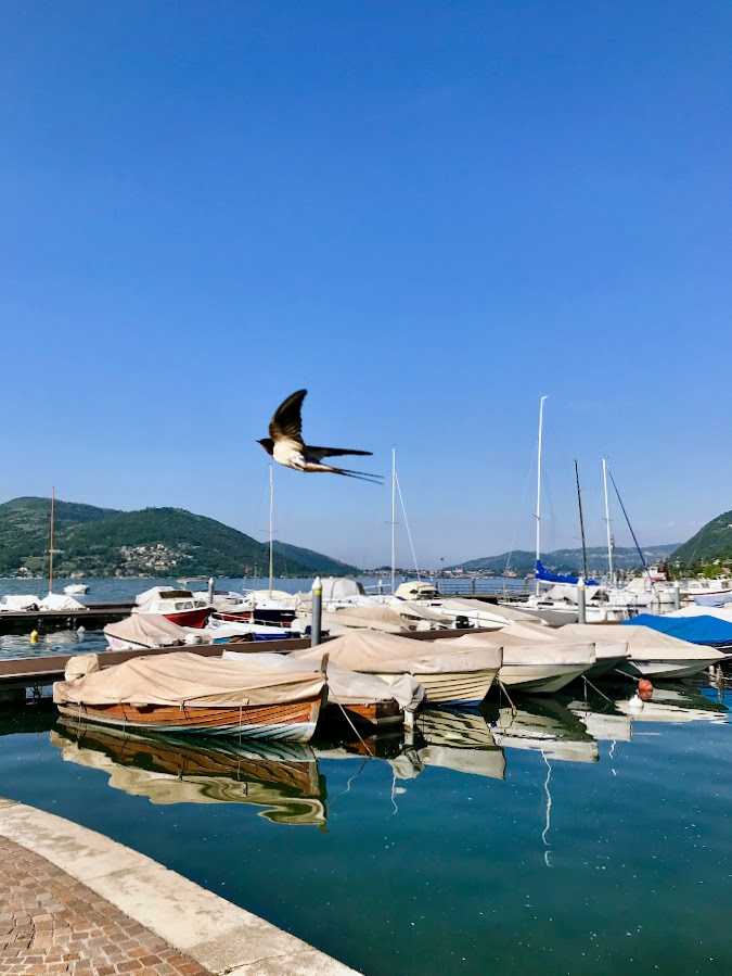 118 этажей к тайне Мона Лизы или 5 дней в Ломбардии (Бергамо, Изео май 2018)