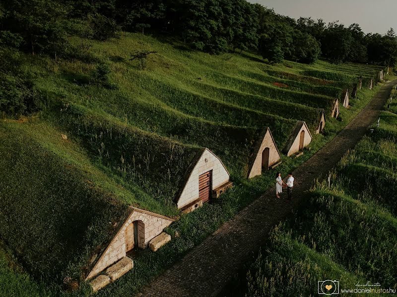 Fotógrafo de casamento Dániel Mustos (danielmustos). Foto de 6 de julho 2020