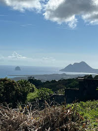 terrain à Sainte luce (972)