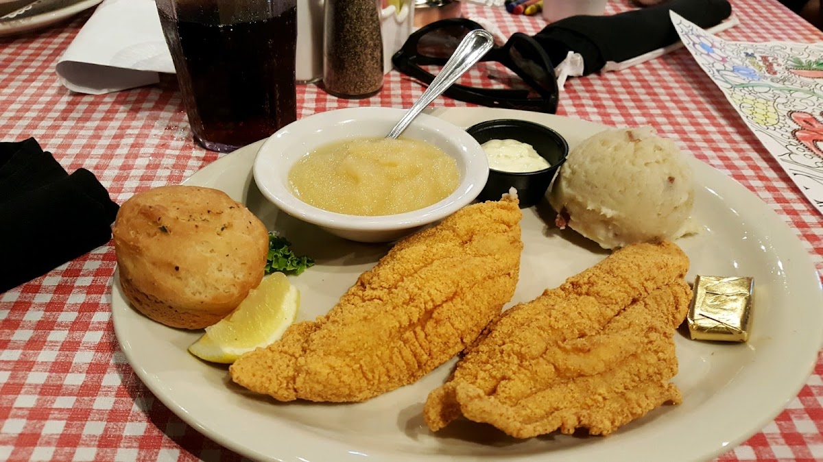 Gf catfish and gf biscuit that tasted like a regular biscuit not dry at all