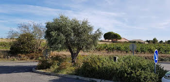 maison neuve à Lézignan-Corbières (11)