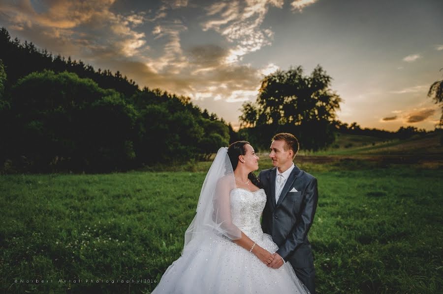 Fotografo di matrimoni Norbert Antal (antalphoto). Foto del 3 marzo 2019