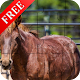 Download Horse Jigsaw Puzzle For PC Windows and Mac 1.0