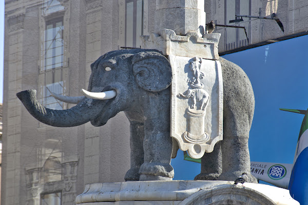 L'elefante di Catania di RICE